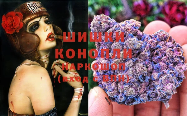 spice Алексеевка