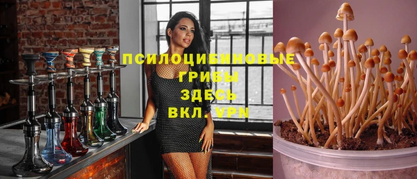 амф Алзамай