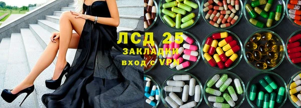 амф Алзамай