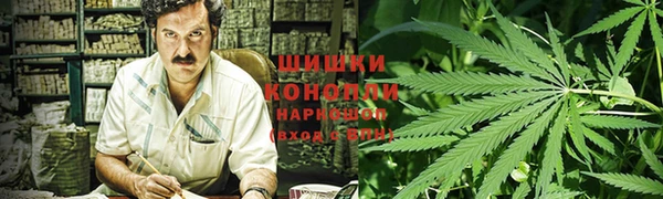 амф Алзамай