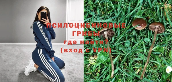 амф Алзамай