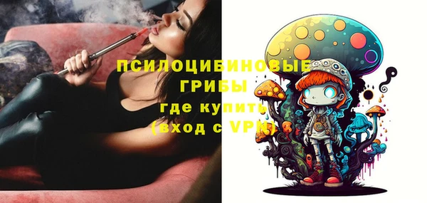 бошки Алексин