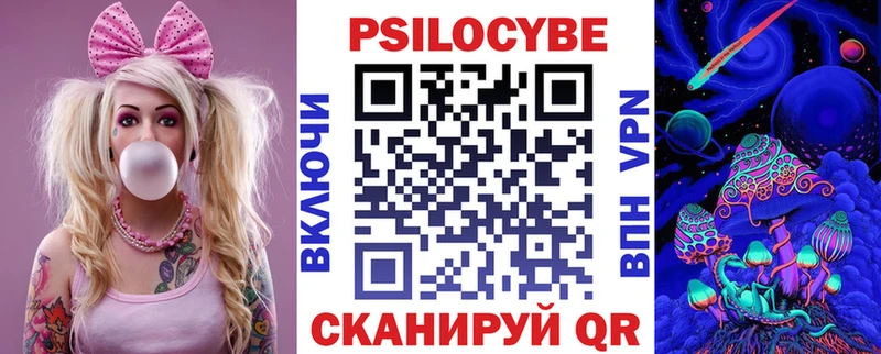 продажа наркотиков  Цоци-Юрт  Галлюциногенные грибы Psilocybine cubensis 